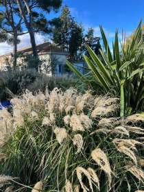 Jardin méditerranéen avec graminées, yuccas et bâtisse en pierre en arrière-plan de la Villa Roubia Hôtel &amp; Spa