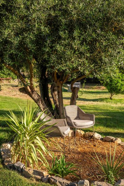 Îlot privatif entouré de végétation et olivier dans le jardin méditerranéen ensoleillé de la Villa Roubia
