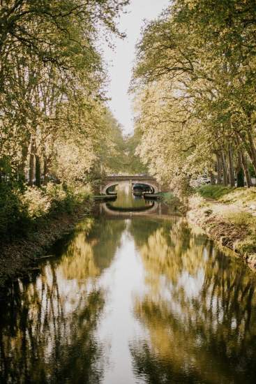 Canal du Midi bordé de platanes centenaires, site UNESCO proche de la Villa Roubia